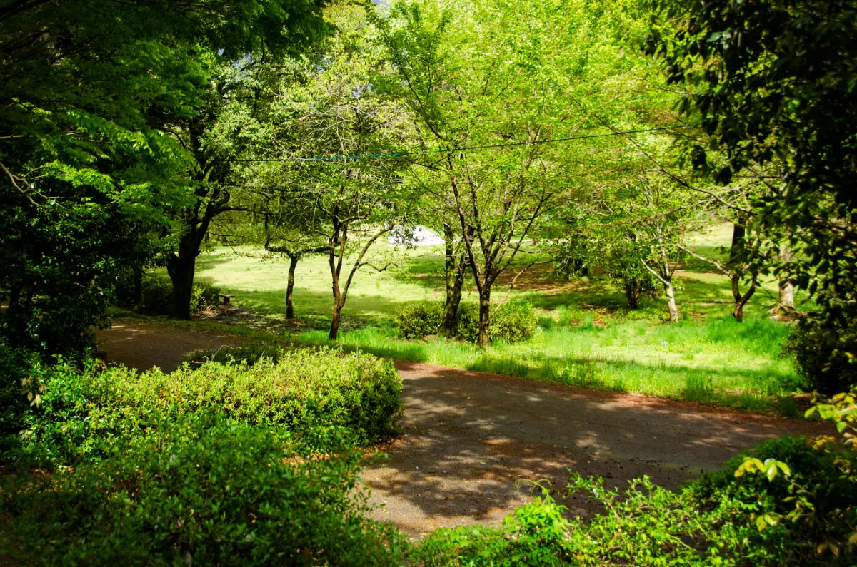 Guardian of beautiful things