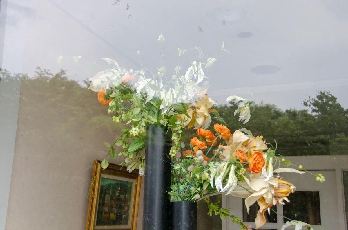 Guardian of beautiful things