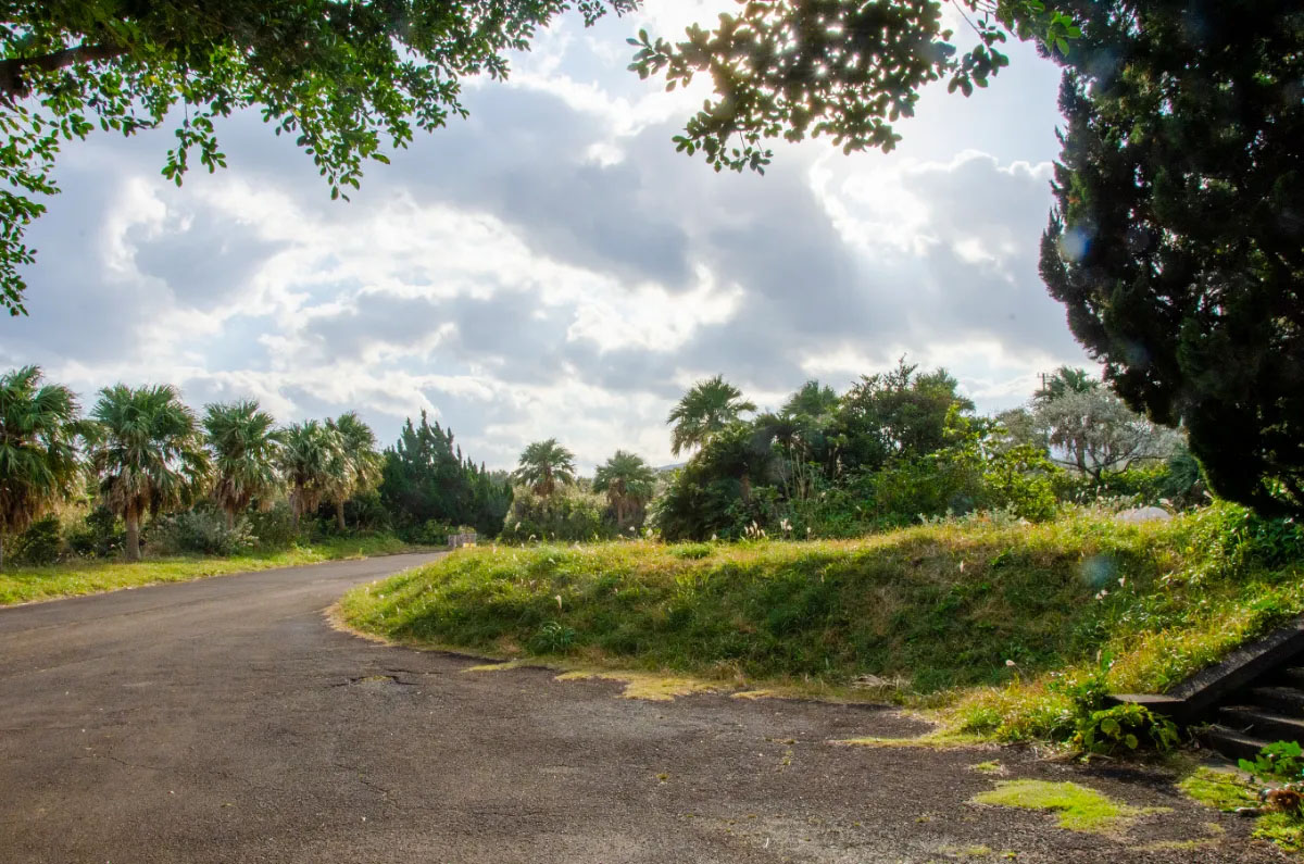 Guardian of beautiful things