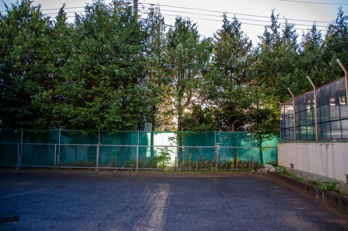 Guardian of beautiful things