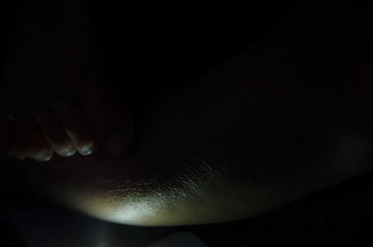 Guardian of beautiful things