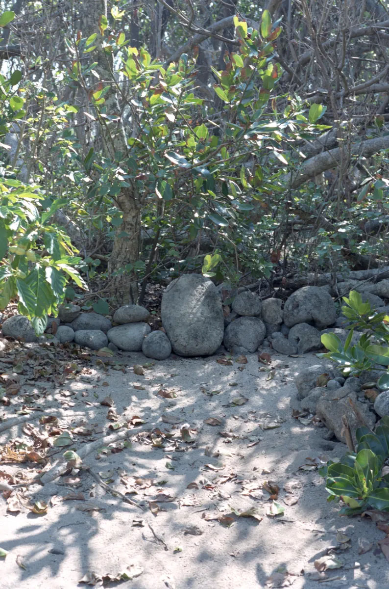 Guardian of beautiful things