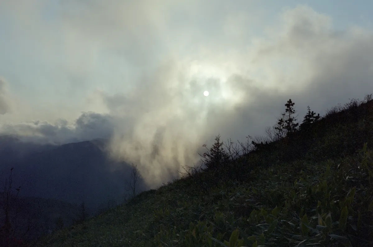 Guardian of beautiful things