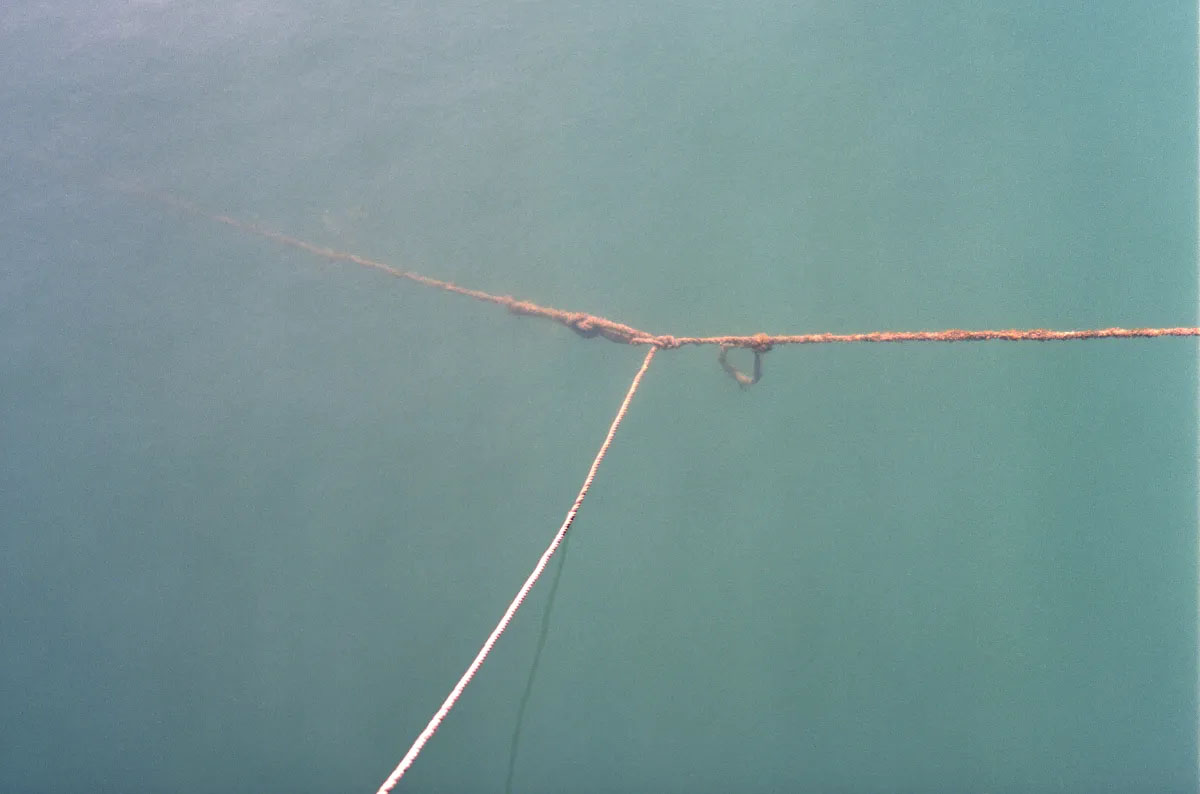 Guardian of beautiful things