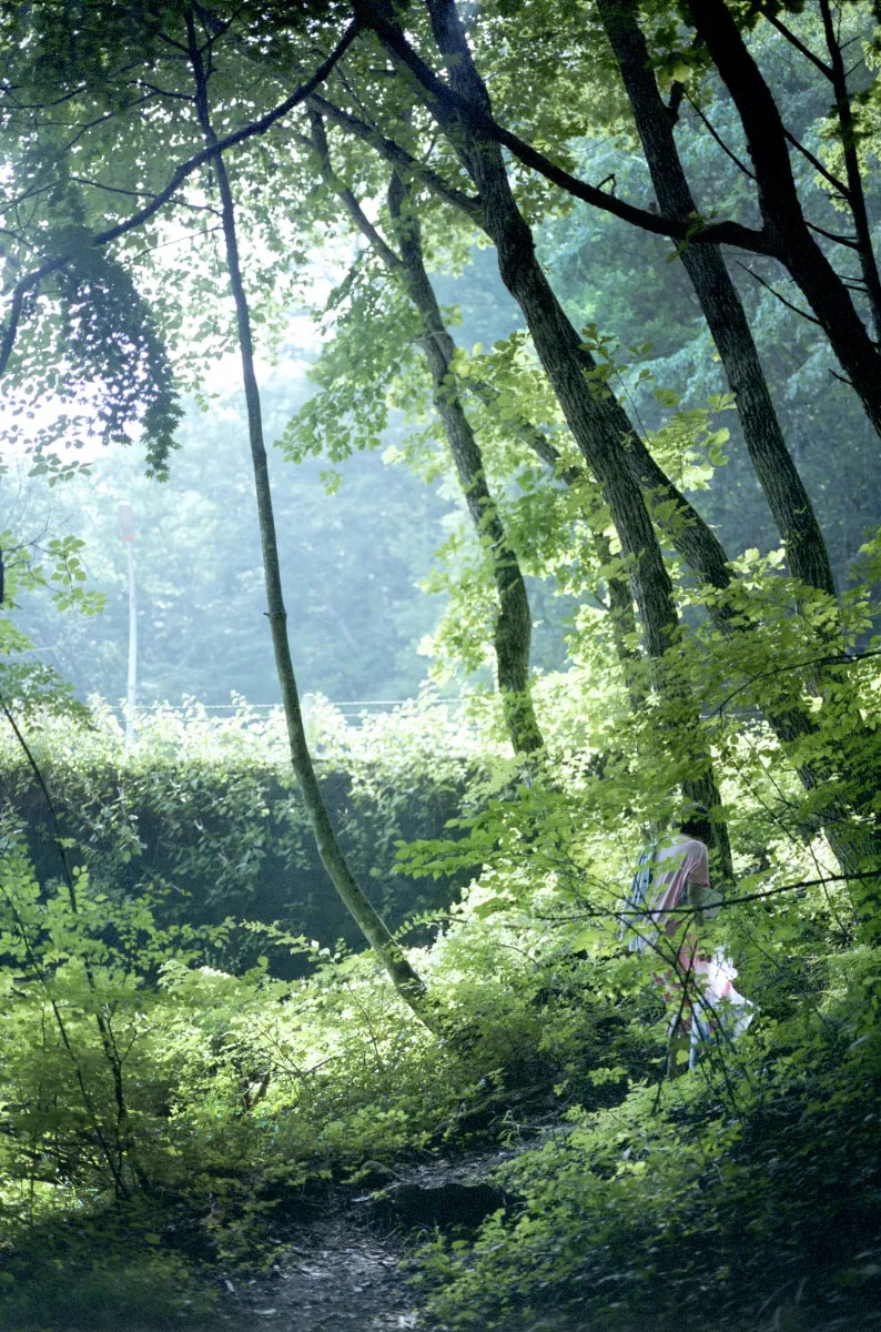 Guardian of beautiful things