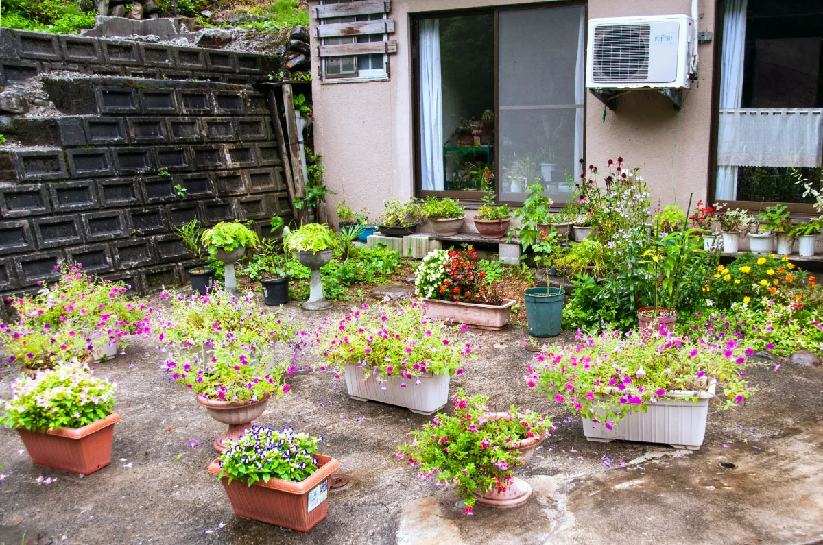 Guardian of beautiful things