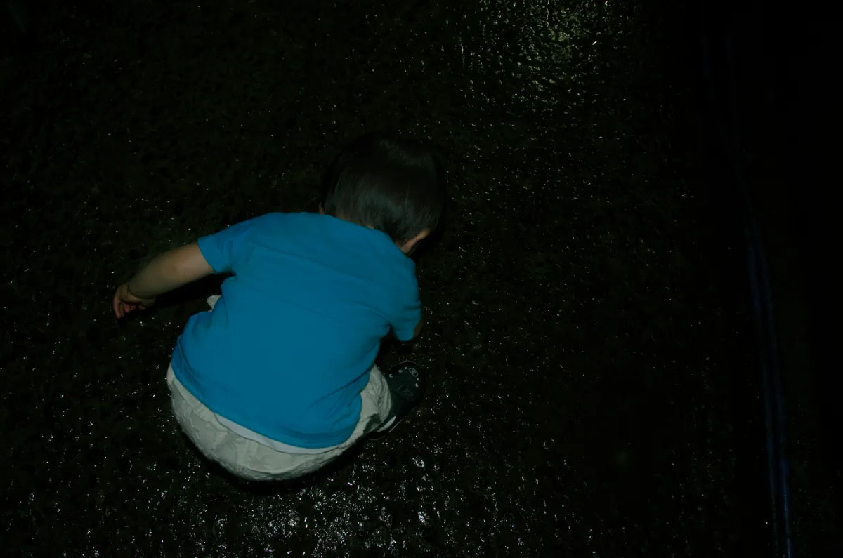 Guardian of beautiful things