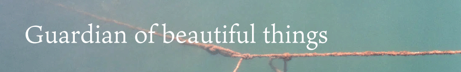 Guardian of beautiful things