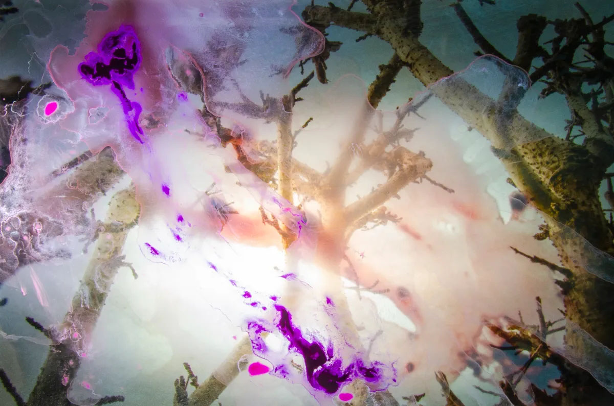 Looking for memories directly