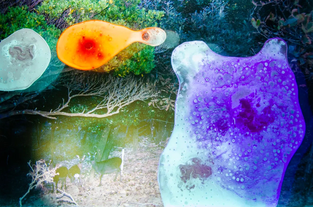 Looking for memories directly