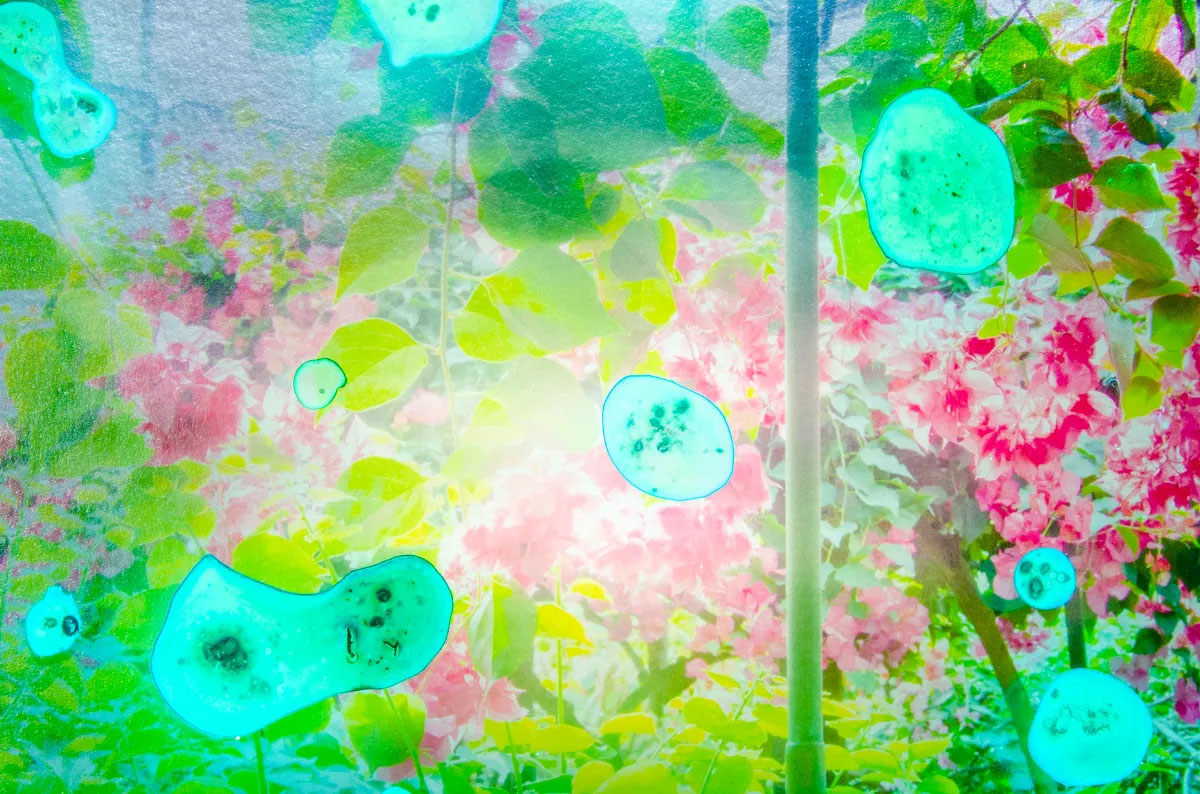 Looking for memories directly