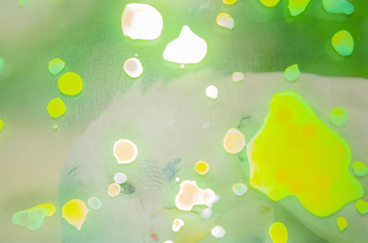 Looking for memories directly