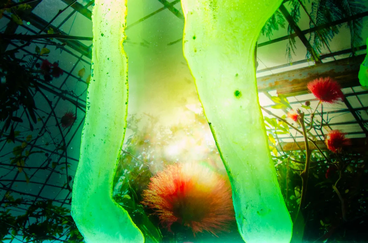 Looking for memories directly