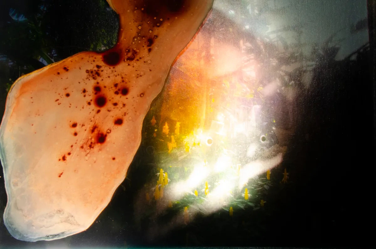 Looking for memories directly