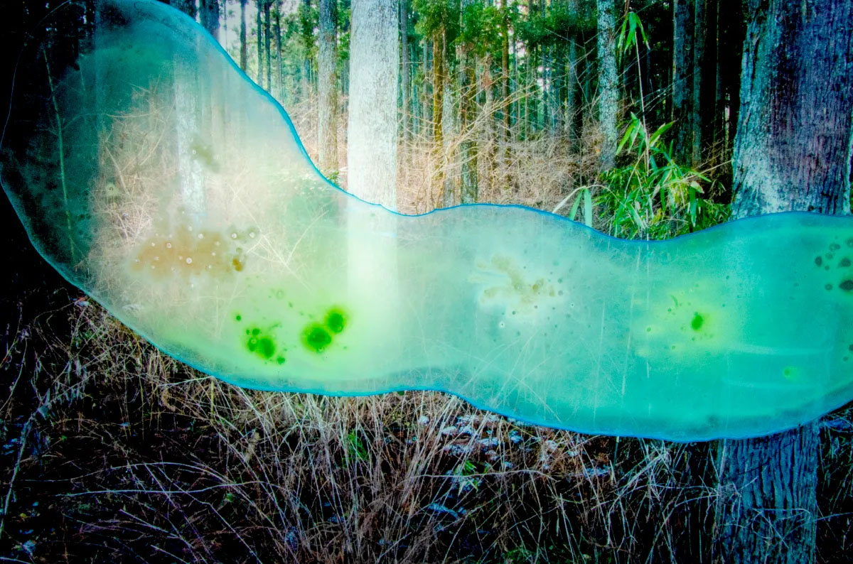 Looking for memories directly