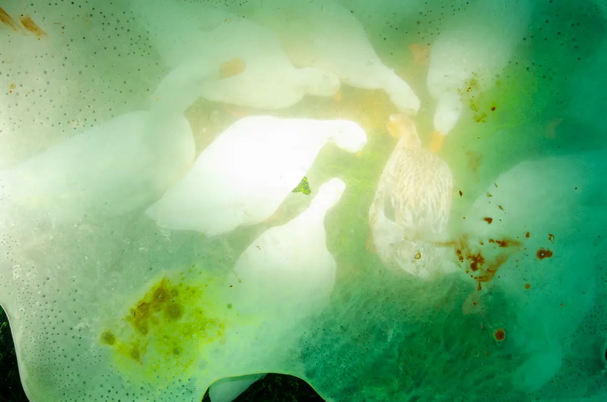 Looking for memories directly