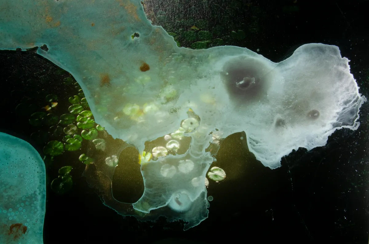 Looking for memories directly