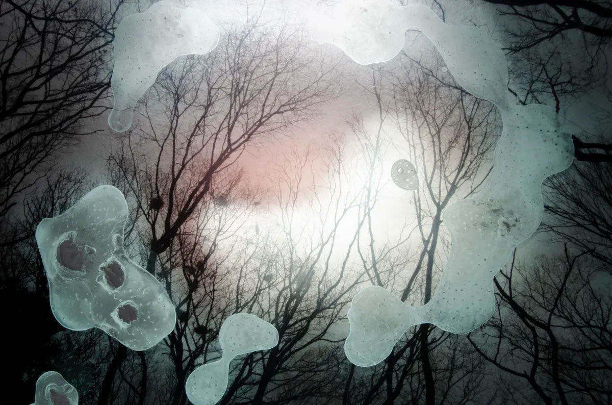 Looking for memories directly