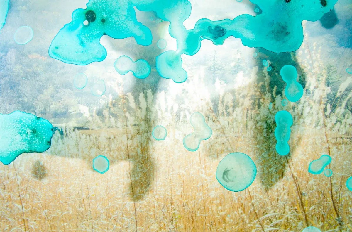 Looking for memories directly