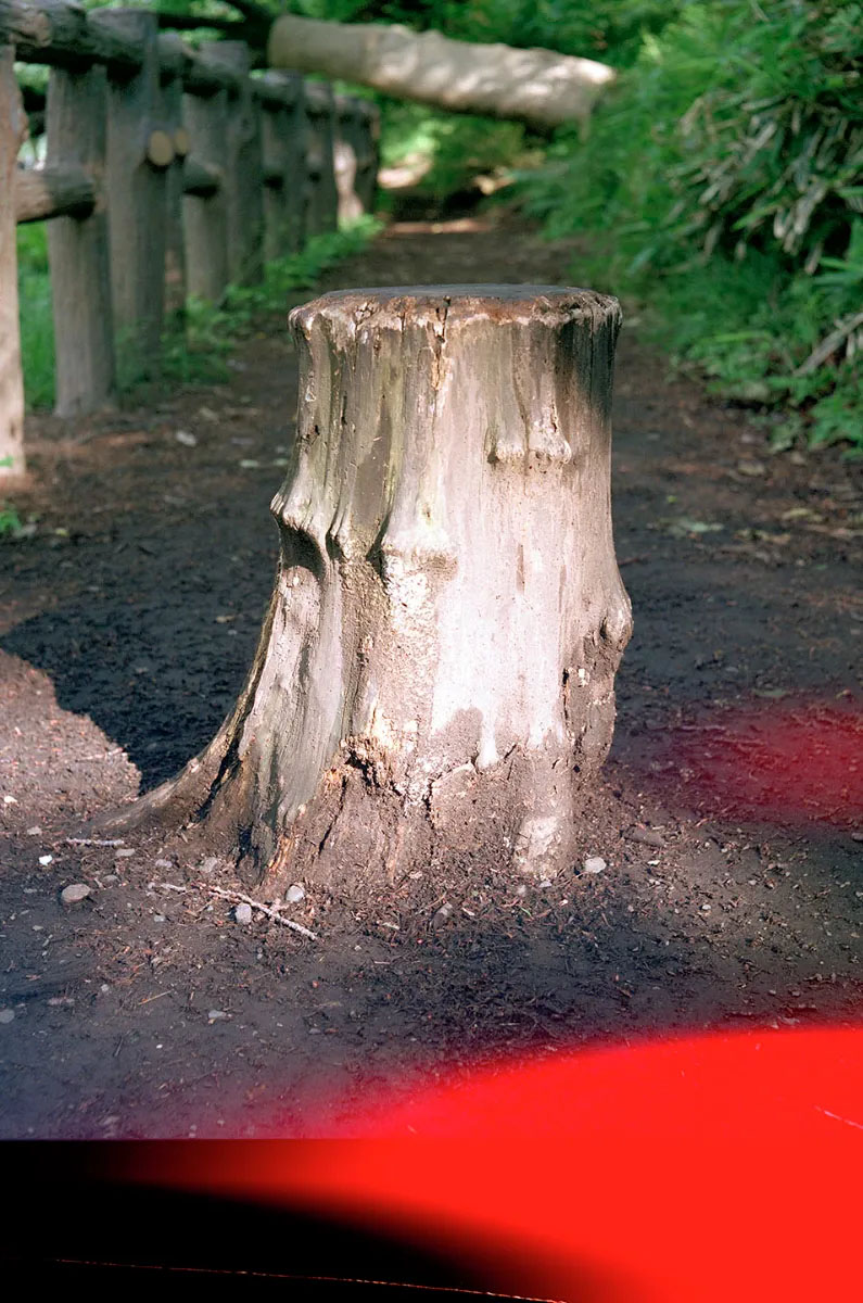 Spawn the senses again