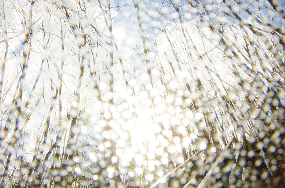 Spawn the senses again