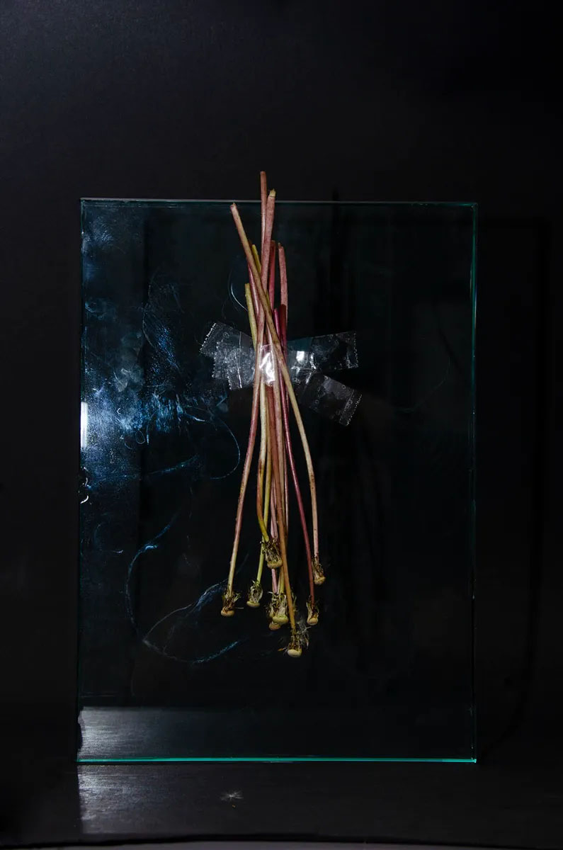 Spawn the senses again